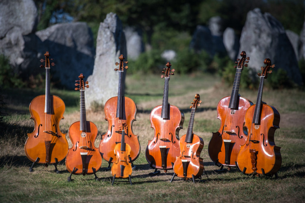 Violoncelles et Consort de Violons